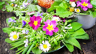 Primeln, Veilchen, Gänseblümchen und andere essbare Blüten
