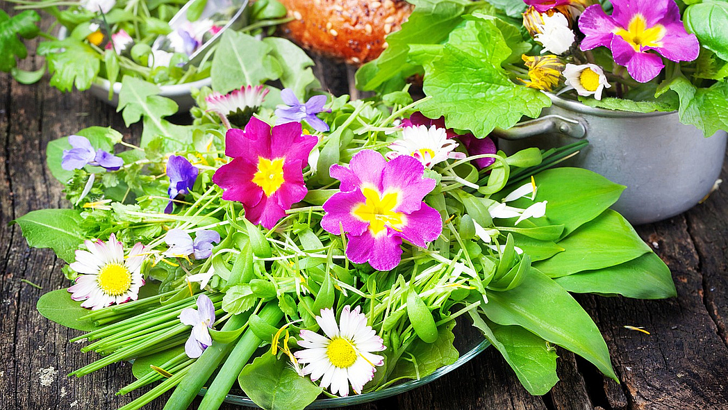 Primeln, Veilchen, Gänseblümchen und andere essbare Blüten
