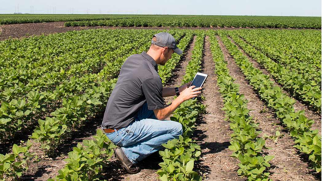 Landwirt kniet im Acker mit Tablet in der Hand