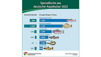 BZL-Infografik: Wichtigste Speisefische aus deutscher Aquakultur (2021)