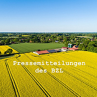Luftaufnahme von Rapsfeldern