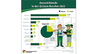 Infografik über die Anzahl der Auszubildenden in den Grünen Berufen im Jahr 2021