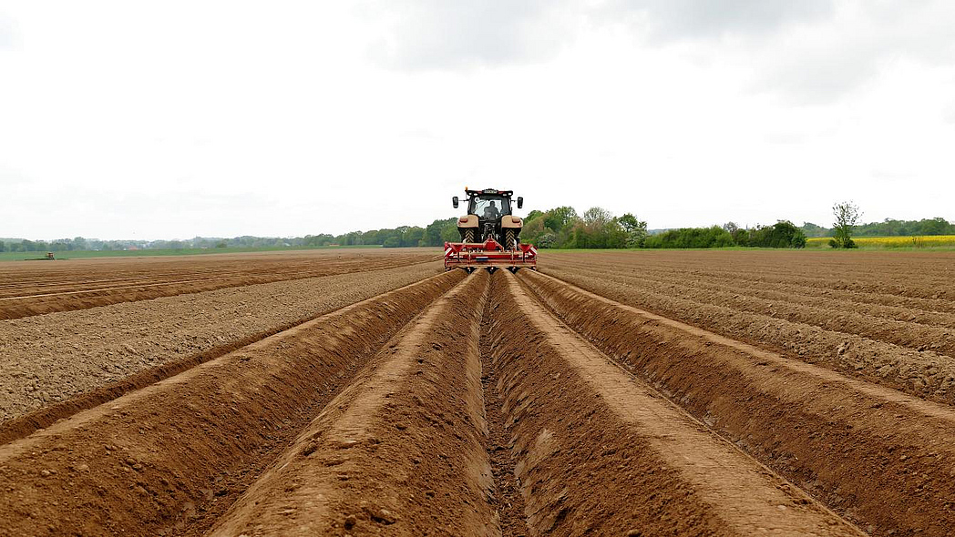 Traktor legt auf dem Acker eine Dammkultur an.