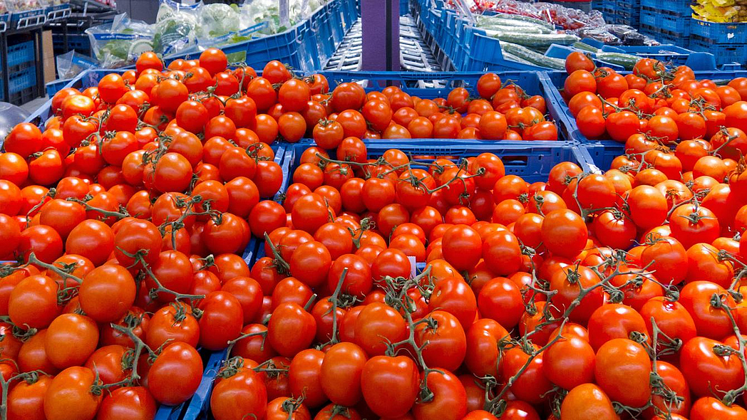 Tomatenkisten im Supermarkt