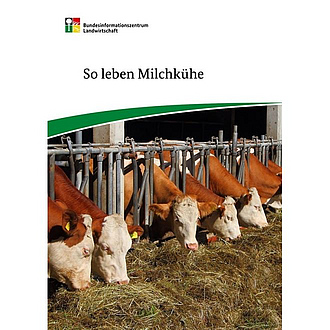 Cover des Pockets "So leben Milchkühe". Zu sehen sind Kühe in einem Stall beim Fressen.