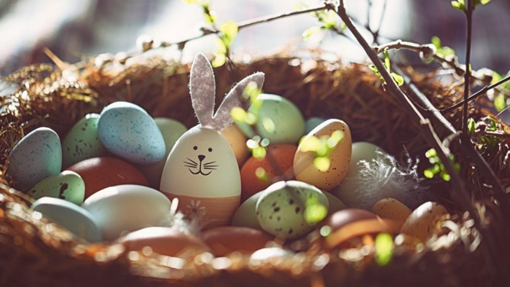 Bunt bemalte Ostereier in einem Osternest.