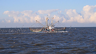 Ein Krabbenkutter auf dem Meer