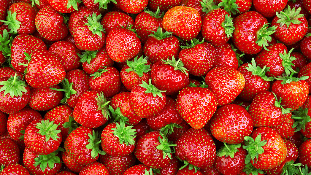 Erdbeeren