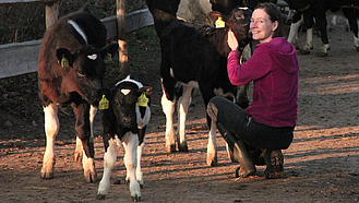 Landwirtin mit Kälbern