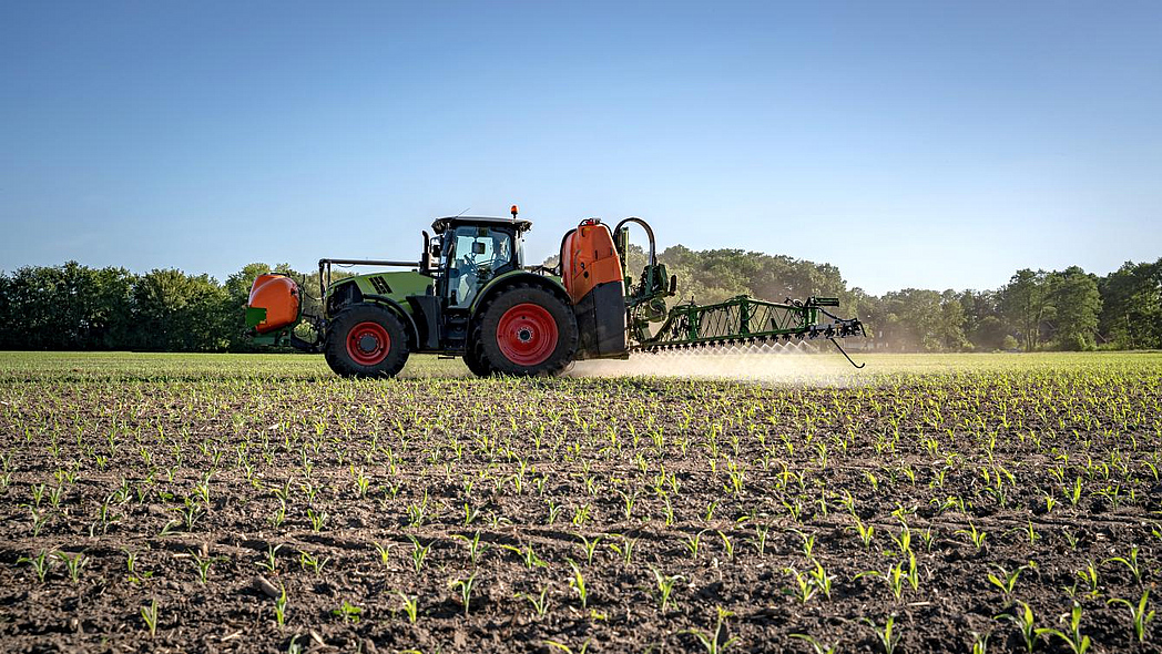 Ein Traktor mit Pflanzenschutzspritze im Einsatz auf einem Maisfeld