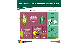Infografik: Landwirtschaftliche Flächennutzung 2023