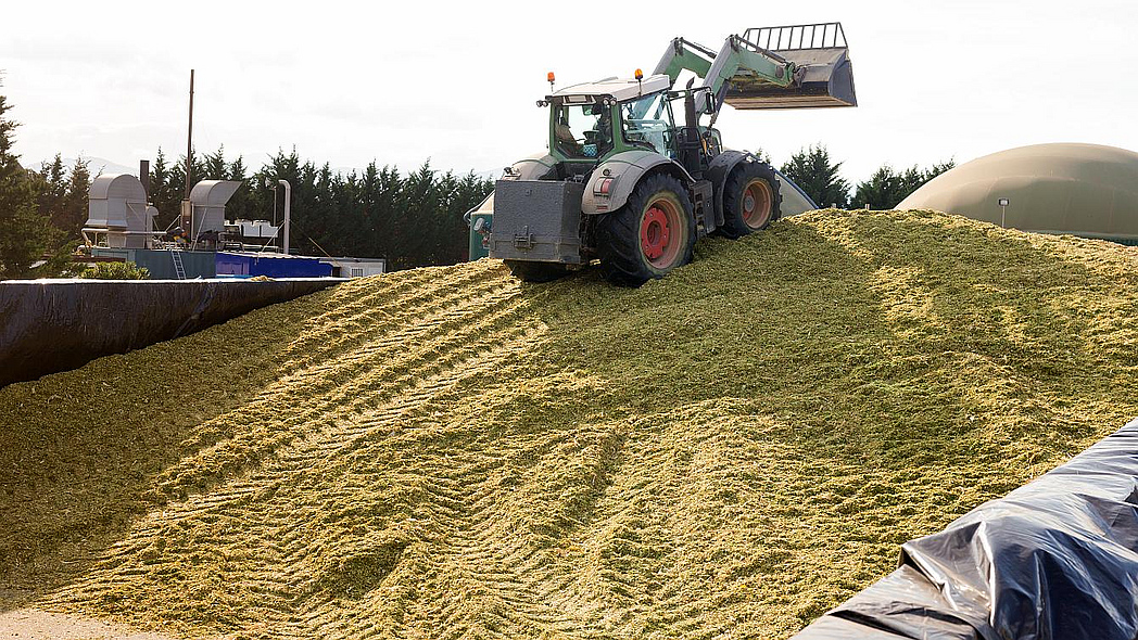 Festfahren von Maissilage