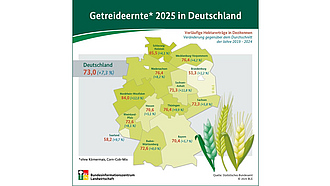 Vorschau Infografik "Getreideernte 2023 in Deutschland"