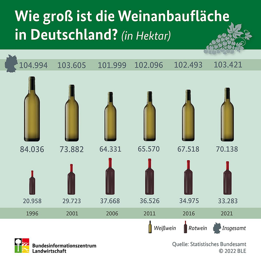 Infografik "Wie groß ist die Weinanbaufläche in Deutschland?"