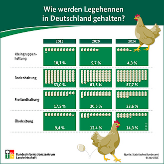 BZL-Infografik: Wie werden Legenhennen in Deutschland gehalten?
