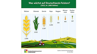 Vorschau Infografik "Was wächst auf Deutschlands Feldern?"