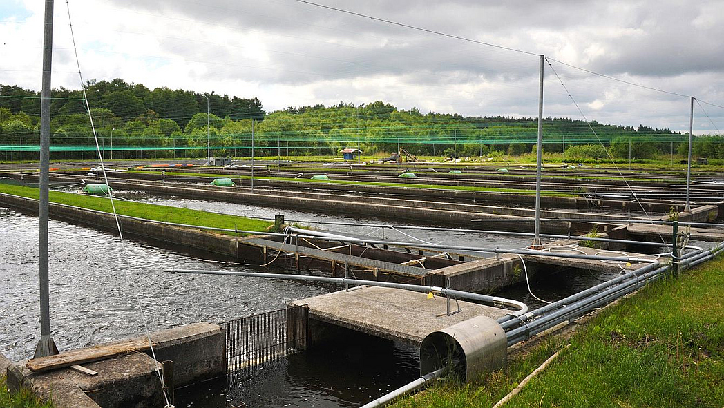 Eine Aquakultur mit mehreren Becken bei bewölktem Himmel