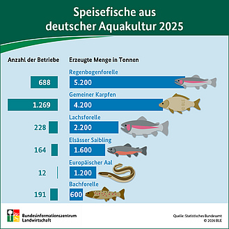 Infografik Speisefische aus deutscher Aquakultur