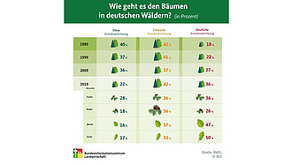 Voschau Infografik "Wie geht es den Bäumen in deutschen Wändern?"