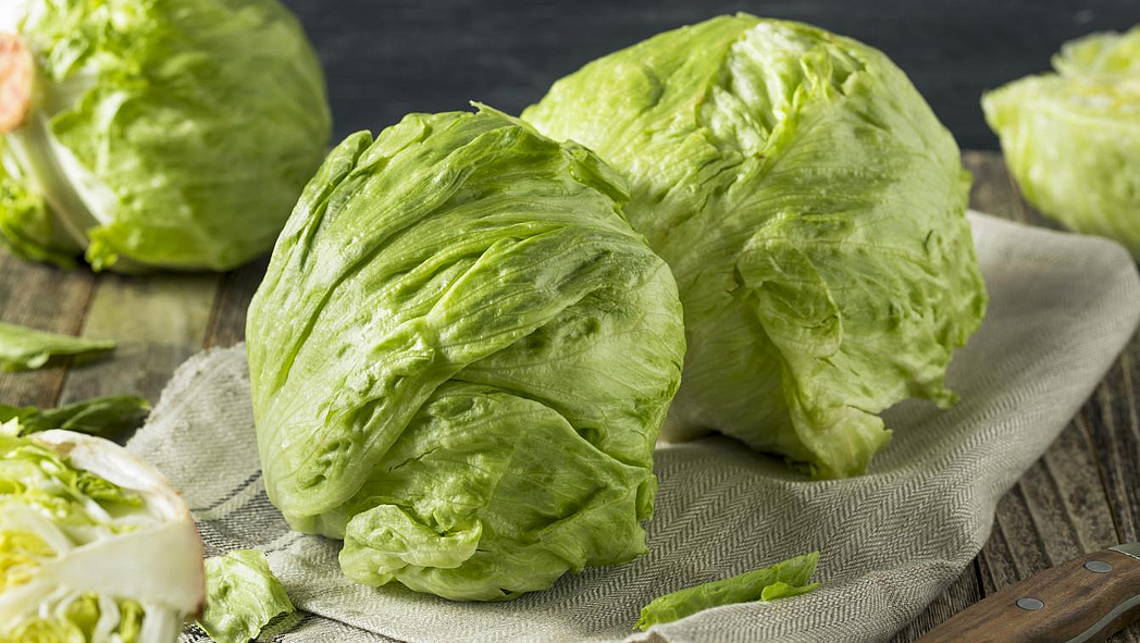 Eissalate auf einem Tisch Mehrere Eissalate liegen auf einem Tuch auf einem Tisch