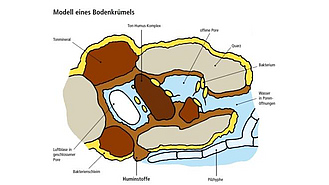 Modell eines Bodenkrümels