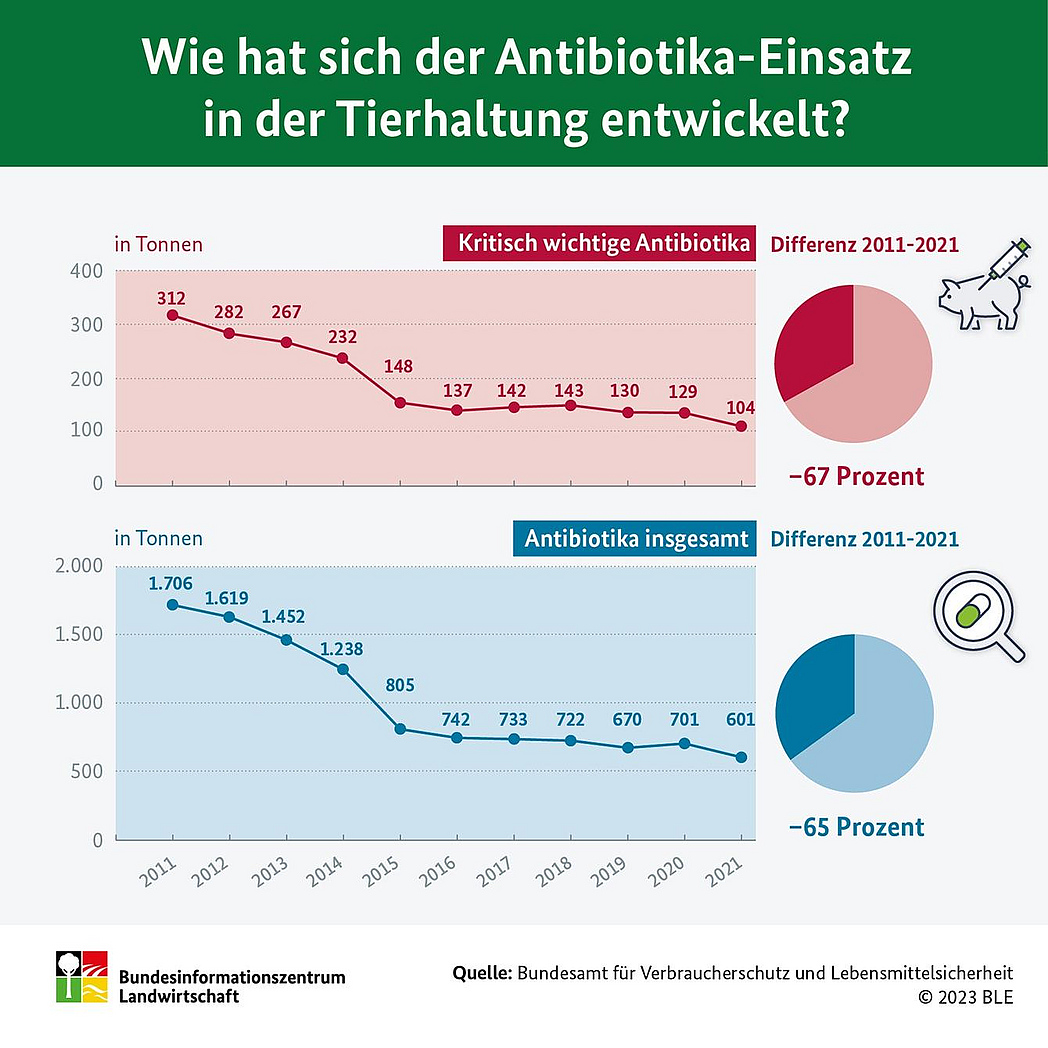 Infografik "Wie hat sich der Antibiotika-Einsatz in der Tierhaltung entwickelt?"