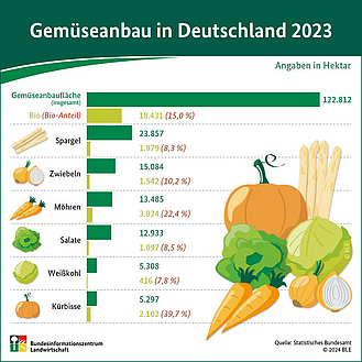 BZL-Infografik: Gemüseanbau in Deutschland 2023