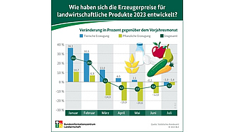 Vorschau Infografik "Wie haben sich die Erzeugerpreise für landwirtschaftliche Produkte 2023 entwickelt?"