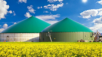 Runde Biogasanlage mit grünen Dächern vor einem gelben Rapsfeld