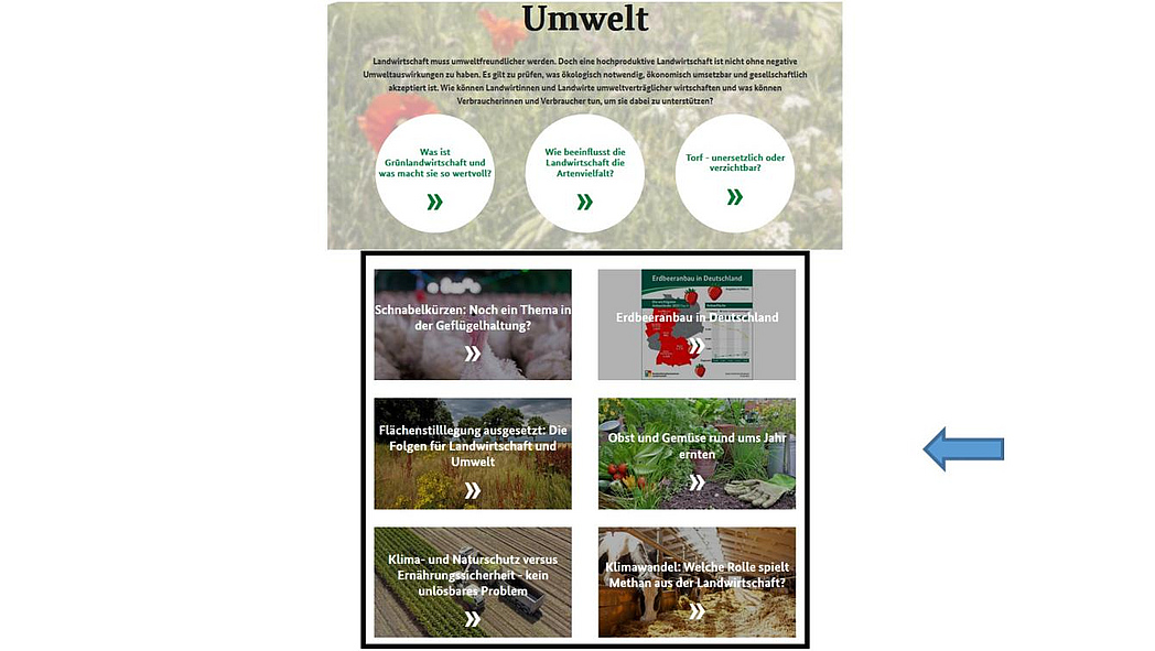 Screenshot der Startseite von landwirtschaft.de mit Hervorhebung des Inhaltsbereichs