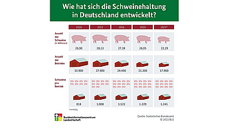 BZL-Infografik: Wie hat sich die Schweinehaltung in Deutschland entwickelt?