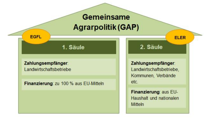 Wie funktioniert die Gemeinsame Agrarpolitik der EU?: BZL