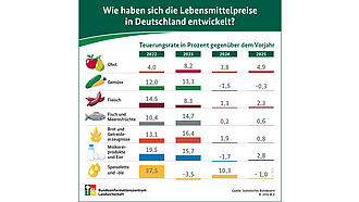 Vorschau Infografik "Wie haben sich 2023 die Lebensmittelpreise entwickelt?"