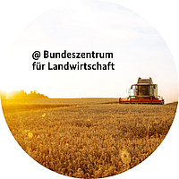 Logo des BZL-LinkedIn Kanals