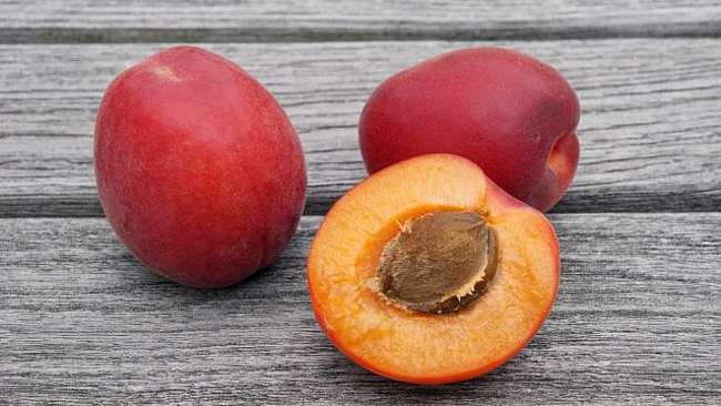 Zwei ganze und eine aufgeschnittene Aprikose der Sorte Fuego mit roter Haut auf einem Tisch