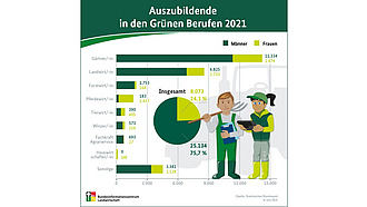 Infografik über die Anzahl der Auszubildenden in den Grünen Berufen im Jahr 2021