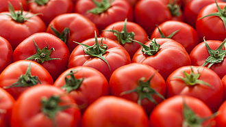 Formatfüllende Aufnahme von roten Tomaten