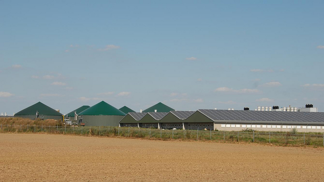 Blick auf einen Großbetrieb mit Biogasanlage und Schweinemast