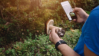 Mann im Wald hält in der einen Hand einen Pilz, in der anderen ein Smartphone.und ein Smartphone