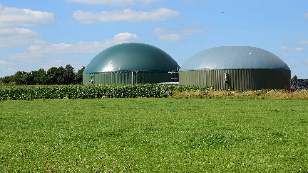 Zwei Gärbehälter einer Biogasanlage, davor grüne Wiese und ein Maisfeld