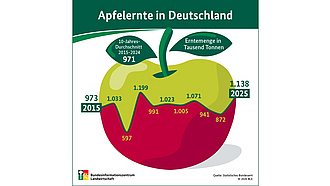 BZL-Infografik: Apfelernte in Deutschland