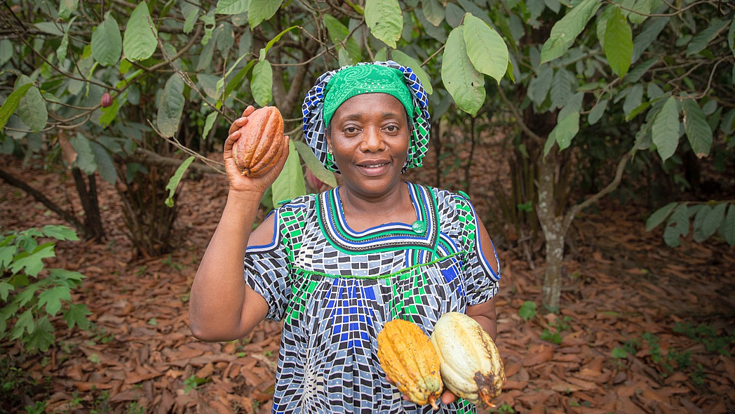 Eine Kamerunerin mit Kakaofrüchten in den Händen steht in einer Kakaoplantage.