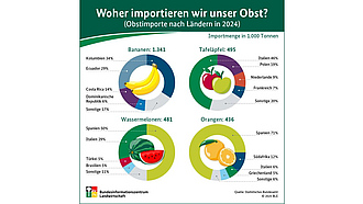 BZL-Infografik: Woher kommt unser Obst? (Obstimporte nach Ländern in 2022)