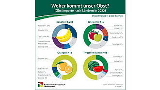 BZL-Infografik: Woher kommt unser Obst? (Obstimporte nach Ländern in 2022)