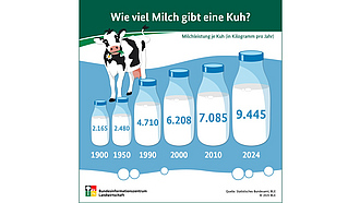 BZL-Infografik: Wie viel Milch gibt eine Kuh?