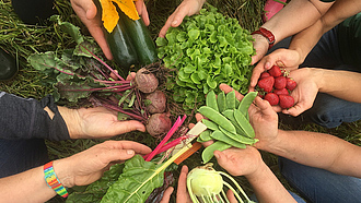 Viele Hände halten unterschiedliches Gemüse und Obst wie Salat, Kohlrabi, Zucchini und Erdbeeren