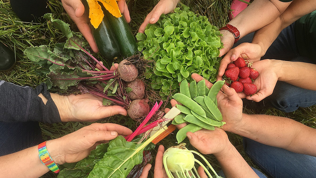 Viele Hände halten unterschiedliches Gemüse und Obst wie Salat, Kohlrabi, Zucchini und Erdbeeren