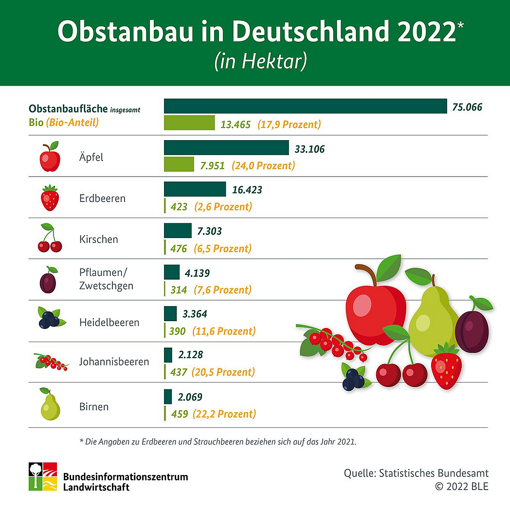 Infografik "Obstanbau in Deutschland 2022"