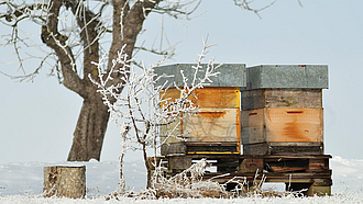 Zwei Bienenstöcke in verschneiter Landschaft