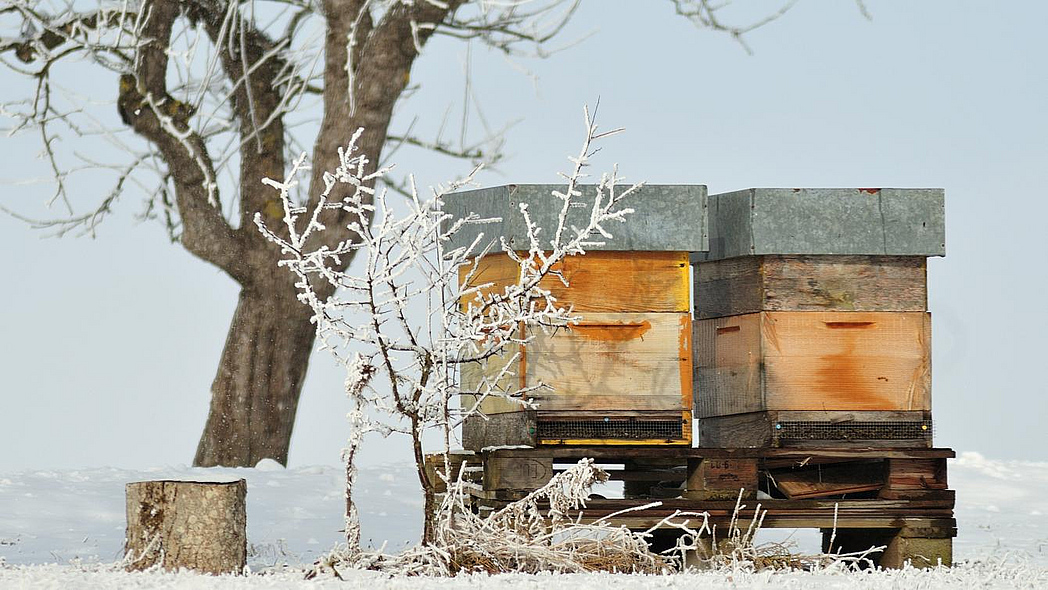 Zwei Bienenstöcke in verschneiter Landschaft